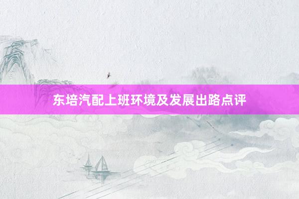 东培汽配上班环境及发展出路点评