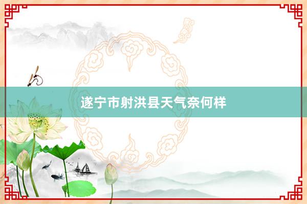 遂宁市射洪县天气奈何样